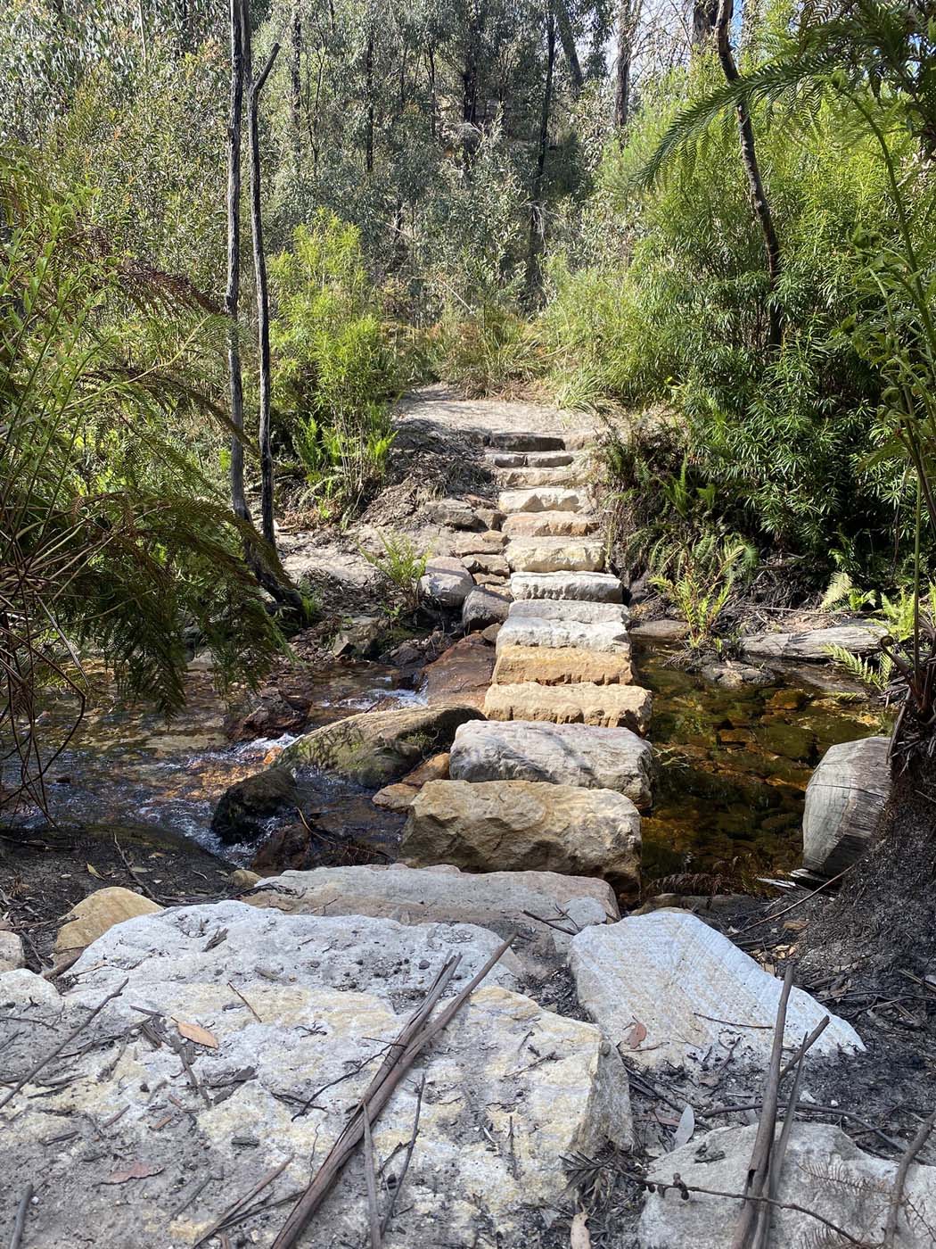 Broad swamp to birds rock 11