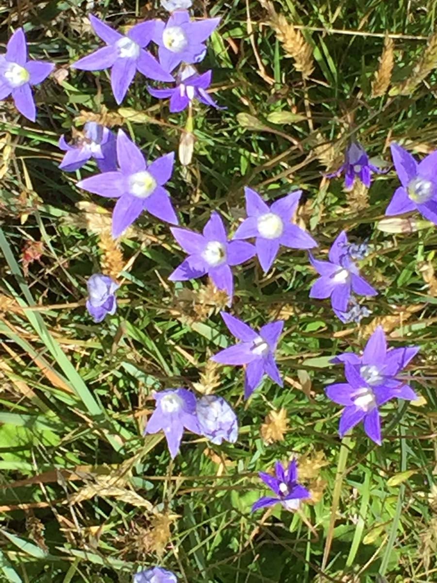 Bryce gorge circuit hike 24