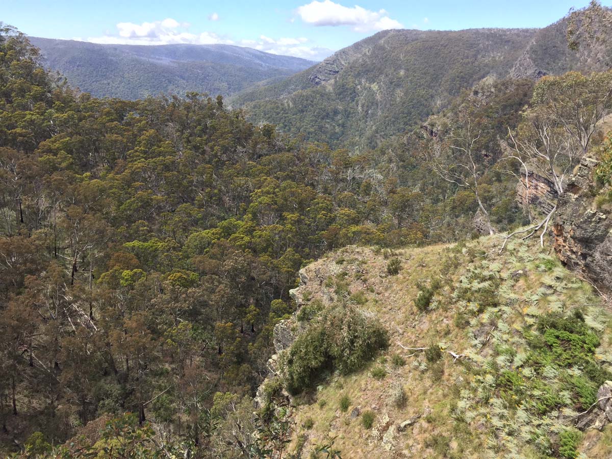 Bryce gorge circuit hike 7