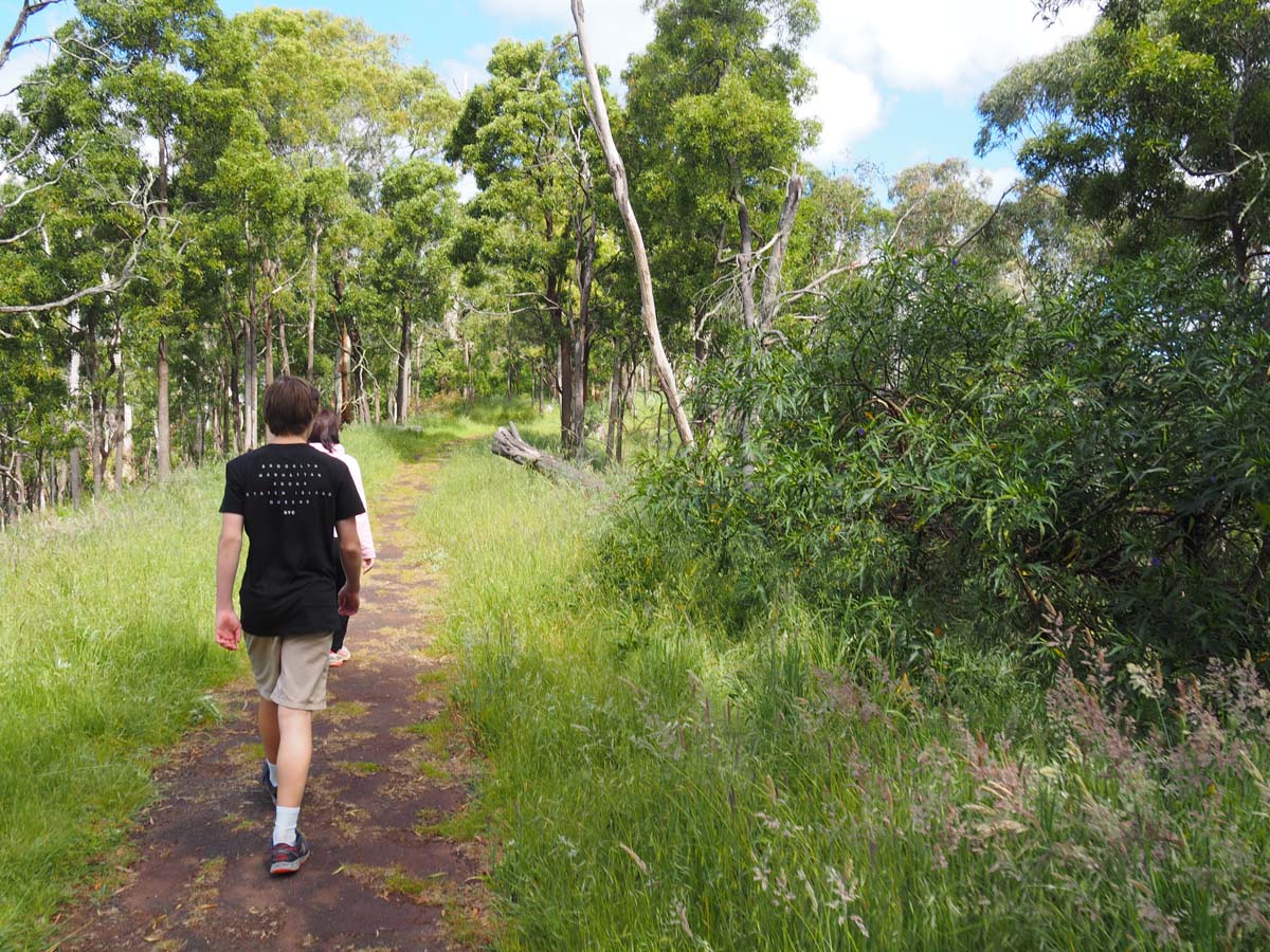 Budj bim crater rim walk 1