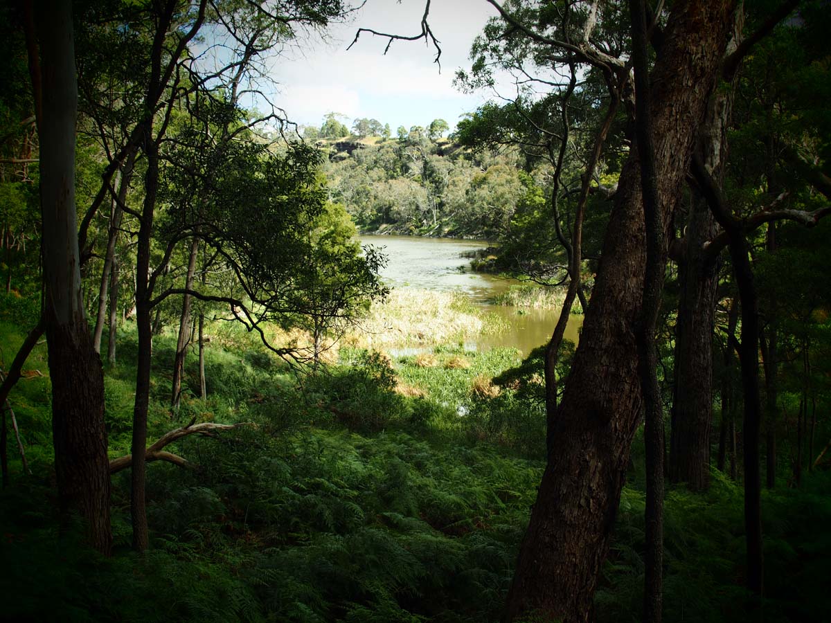 Budj bim crater rim walk 4