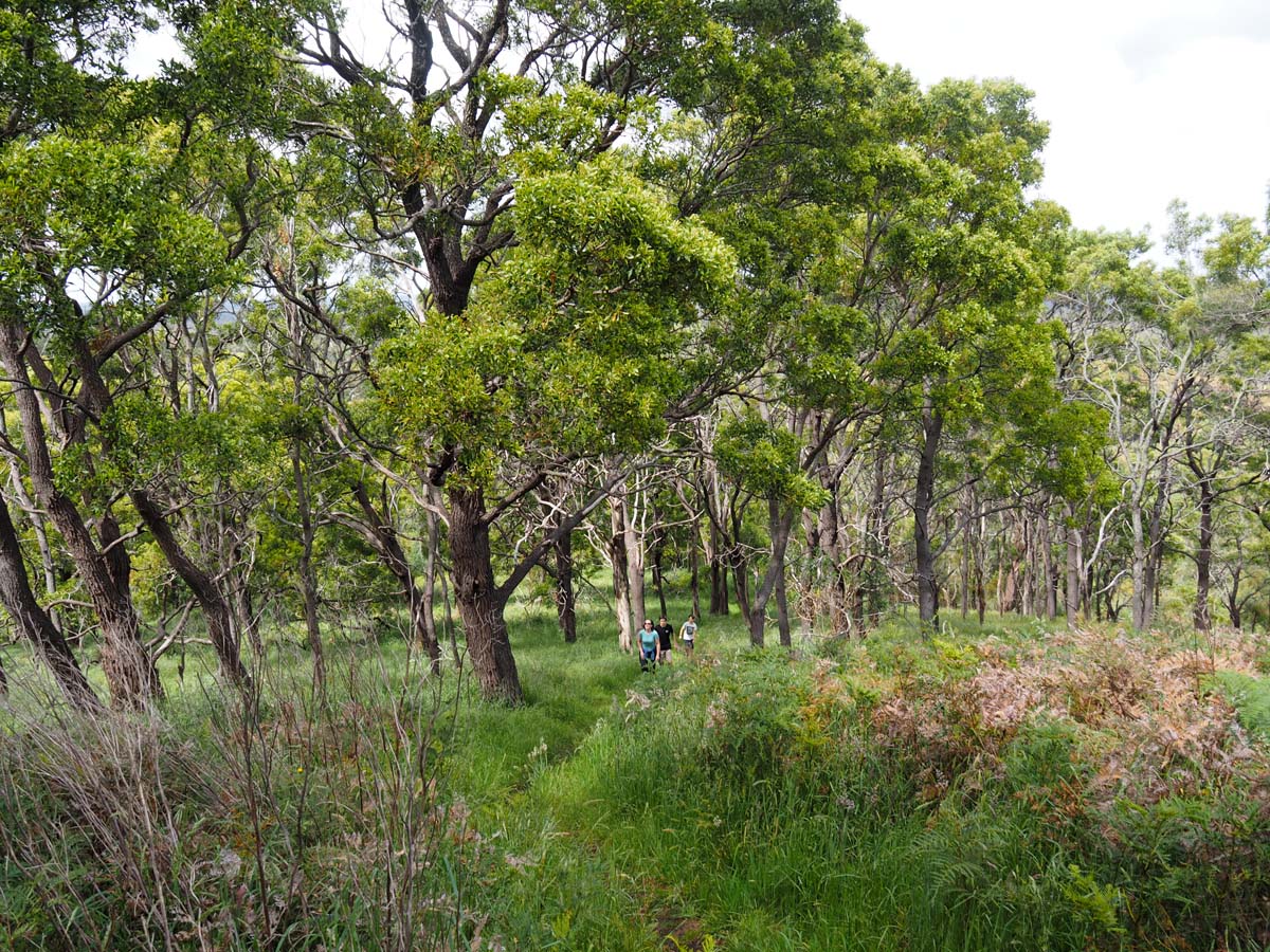 Budj bim crater rim walk 47