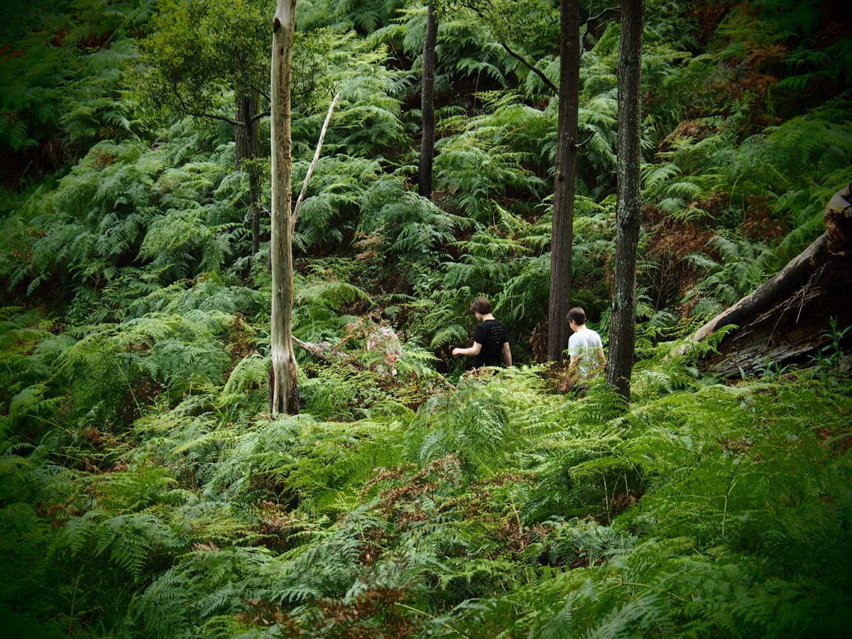 Budj bim crater rim walk 5