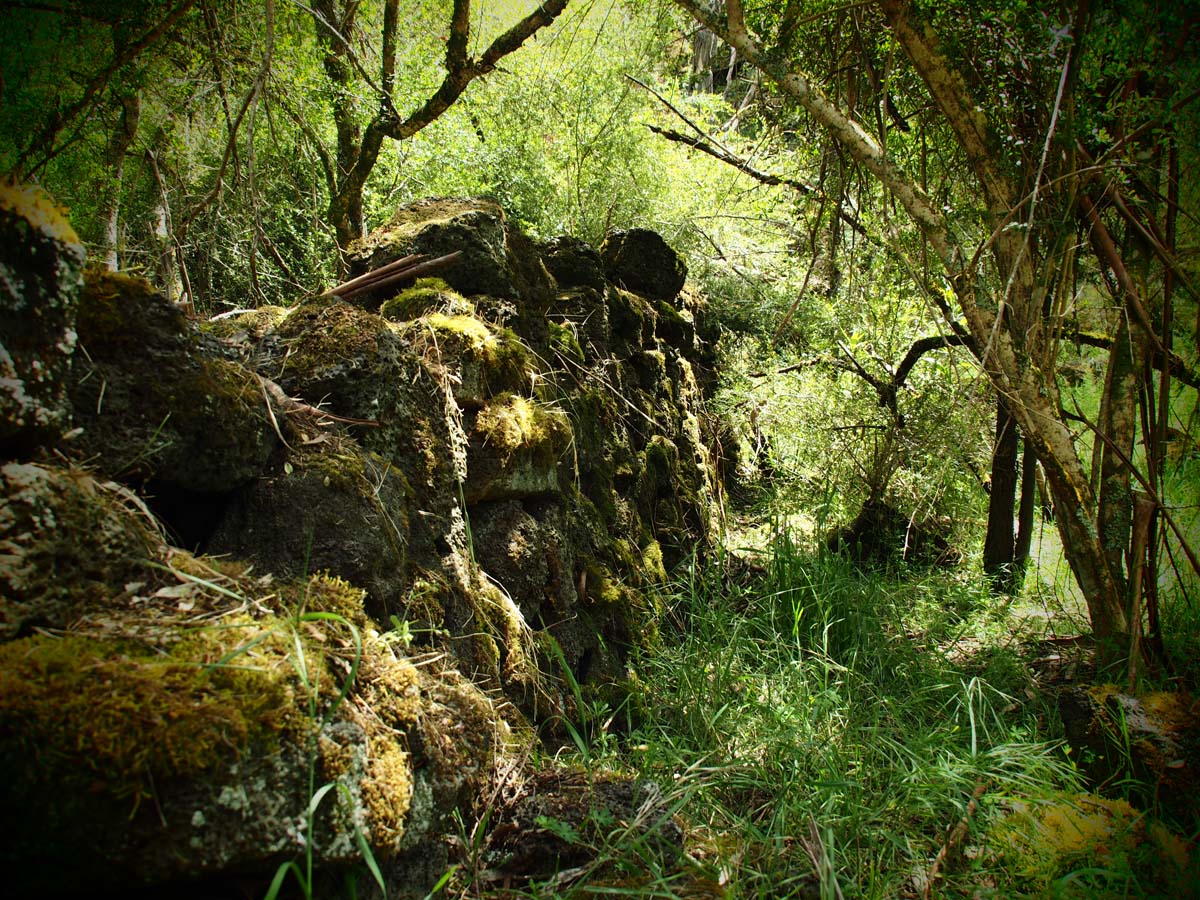 Budj bim crater rim walk 51
