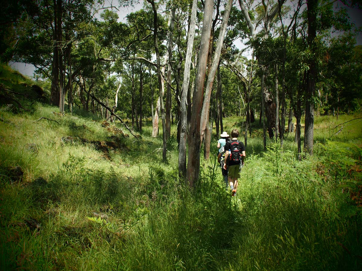 Budj bim crater rim walk 52