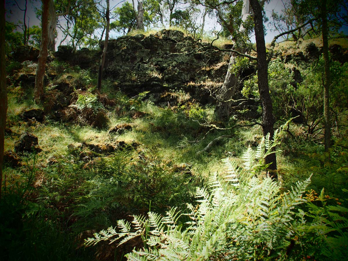 Budj bim crater rim walk 53