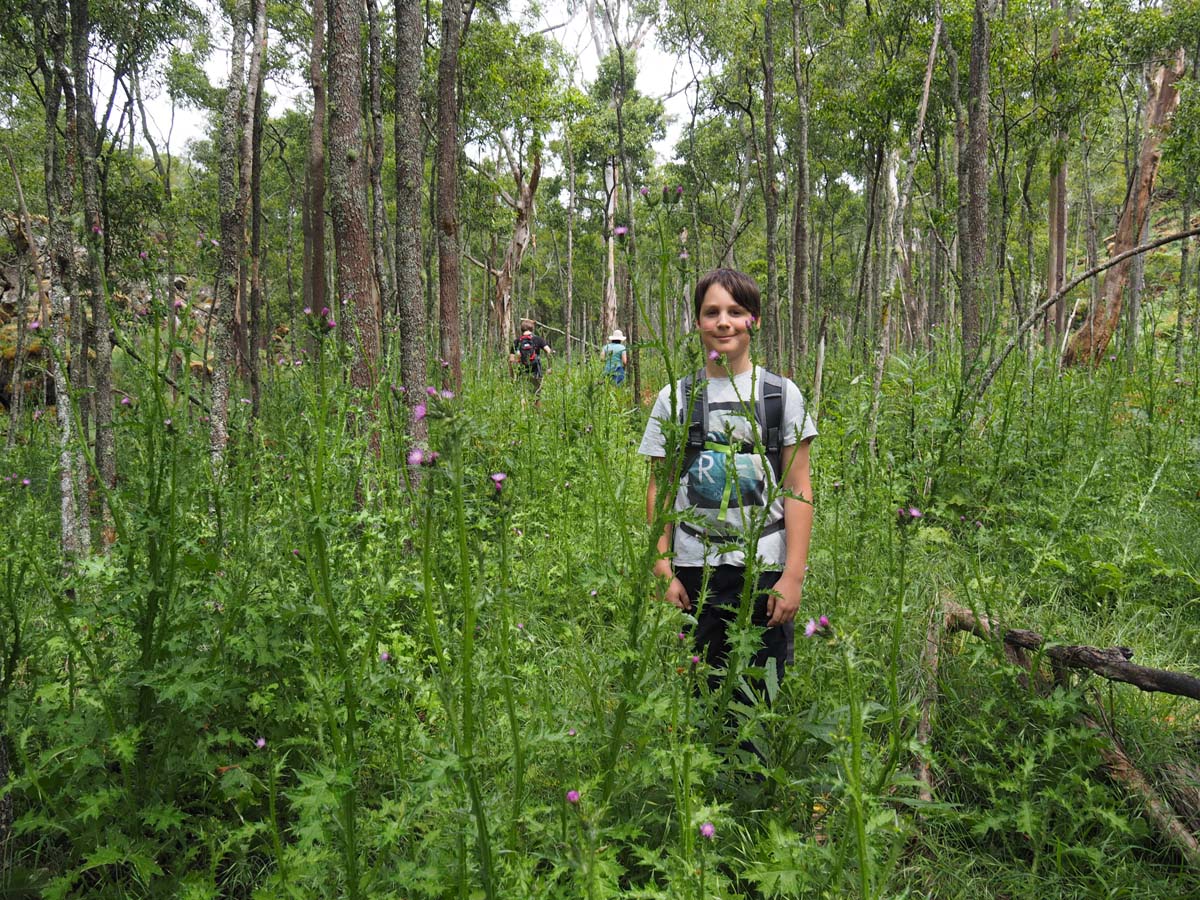 Budj bim crater rim walk 56