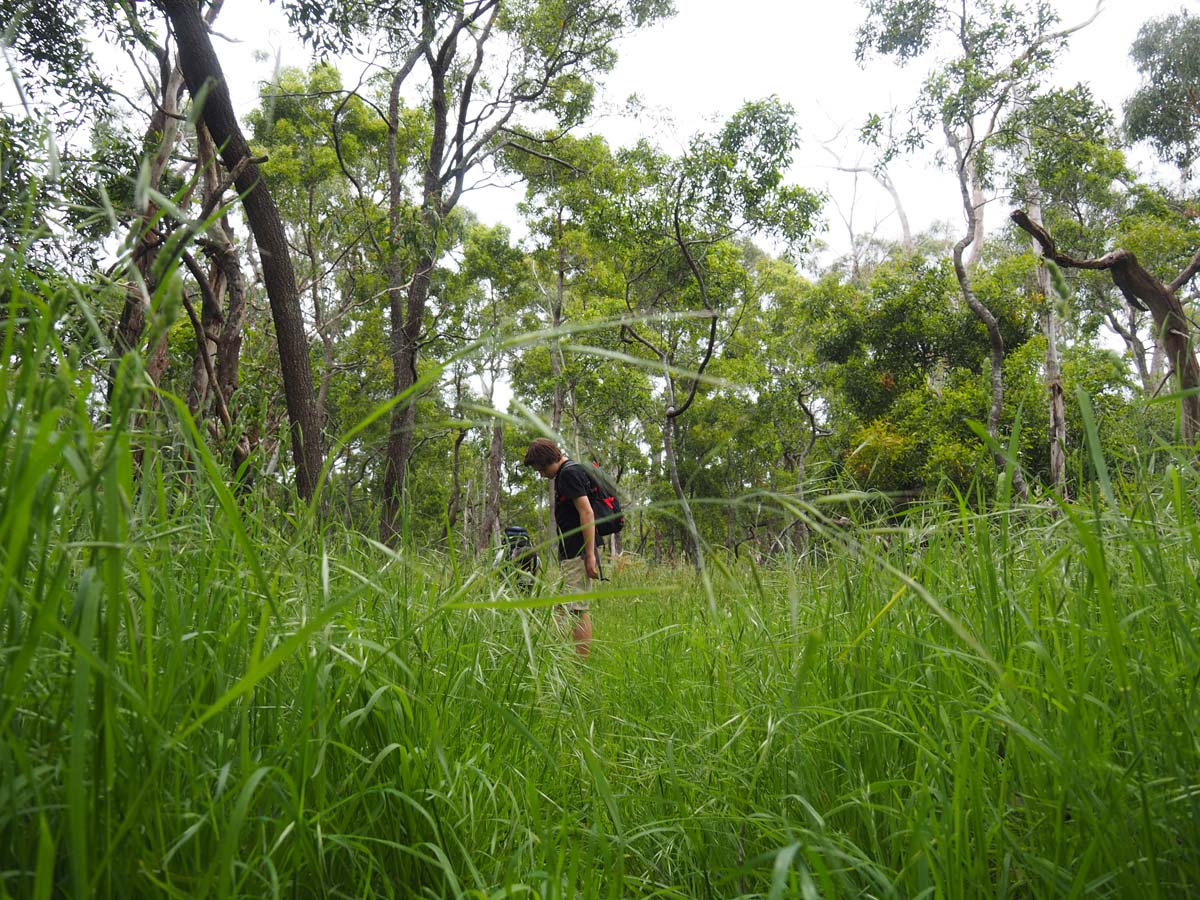 Budj bim crater rim walk 78