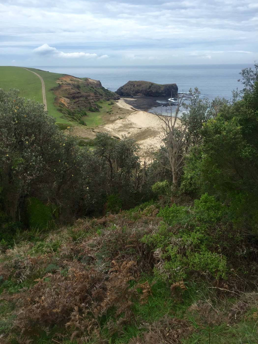 Bushrangers bay & gunnamatta hike (1)
