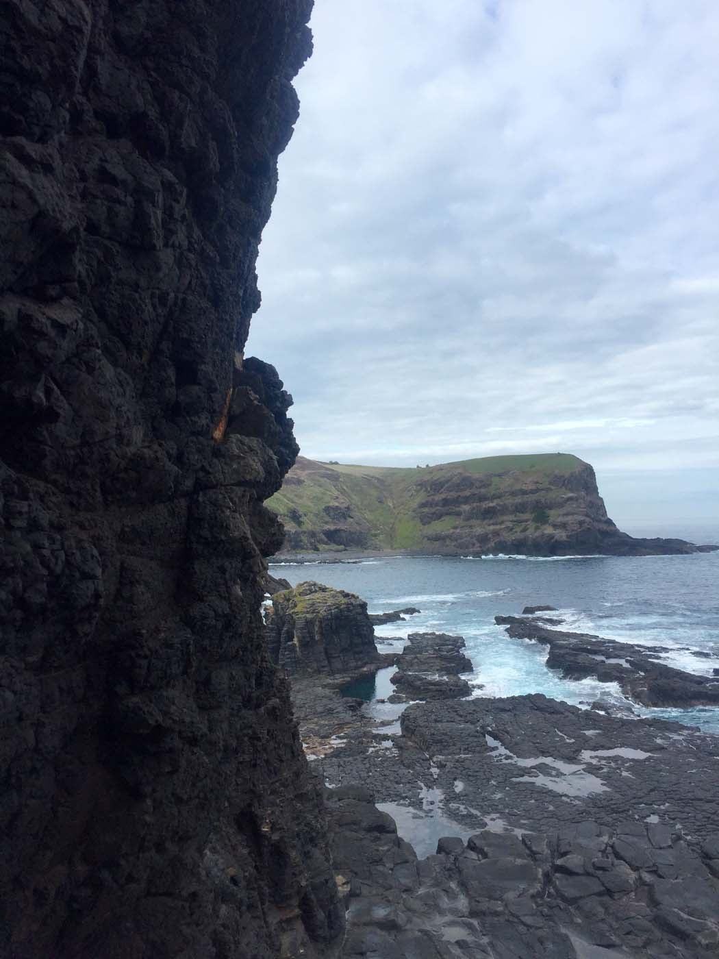 Bushrangers bay & gunnamatta hike (13)