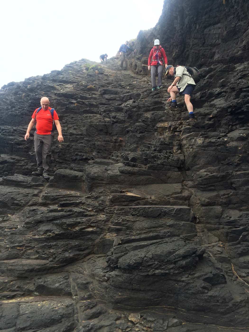 Bushrangers bay & gunnamatta hike (14)