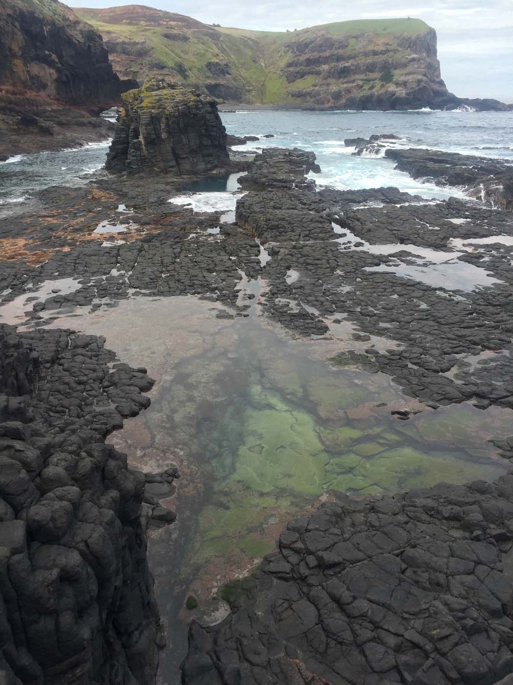 Bushrangers bay & gunnamatta hike (15)