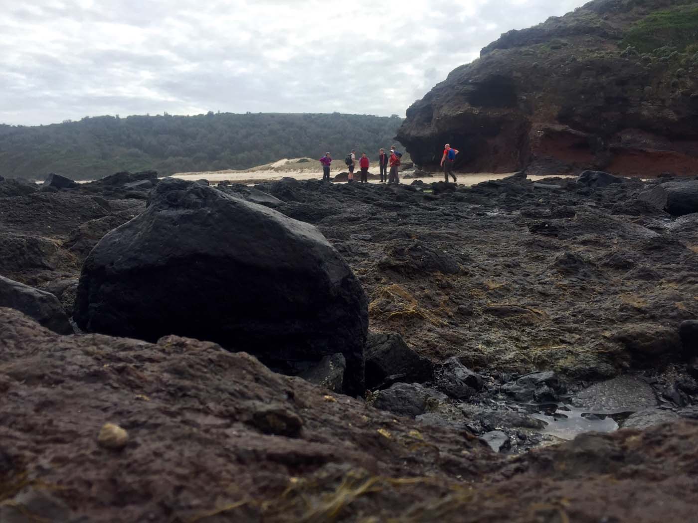 Bushrangers bay & gunnamatta hike (18)