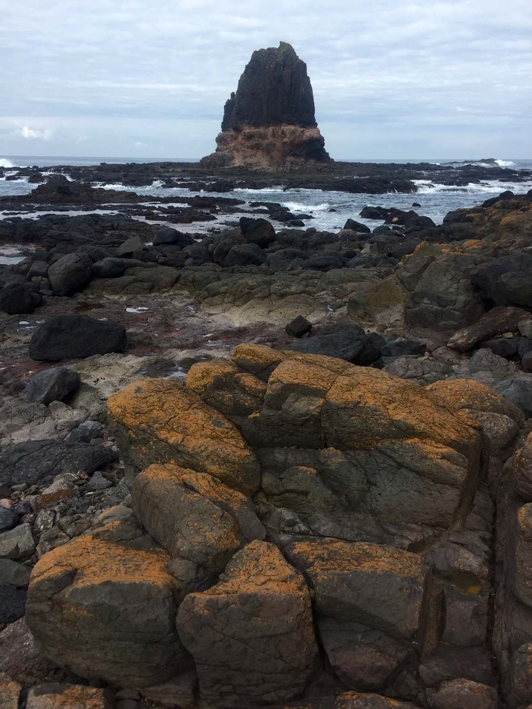 Bushrangers bay & gunnamatta hike (24)