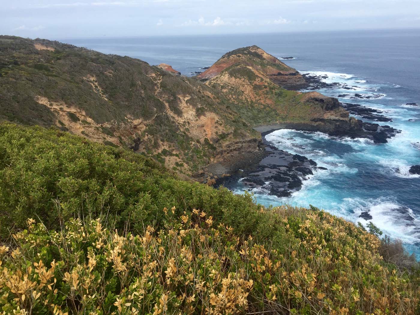 Bushrangers bay & gunnamatta hike (27)