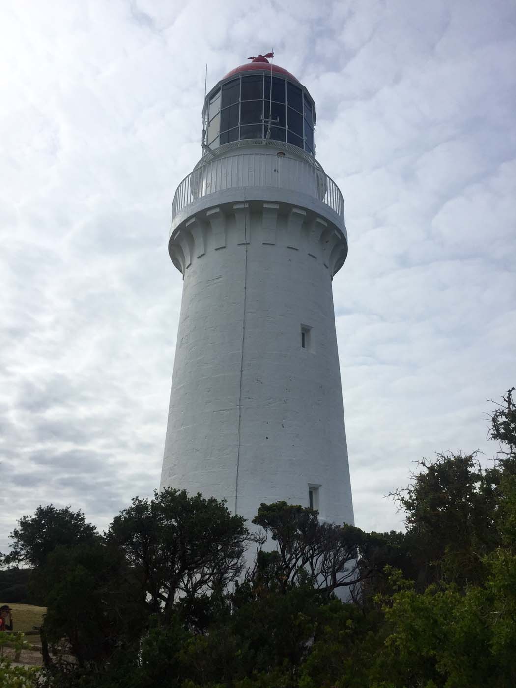 Bushrangers bay & gunnamatta hike (28)