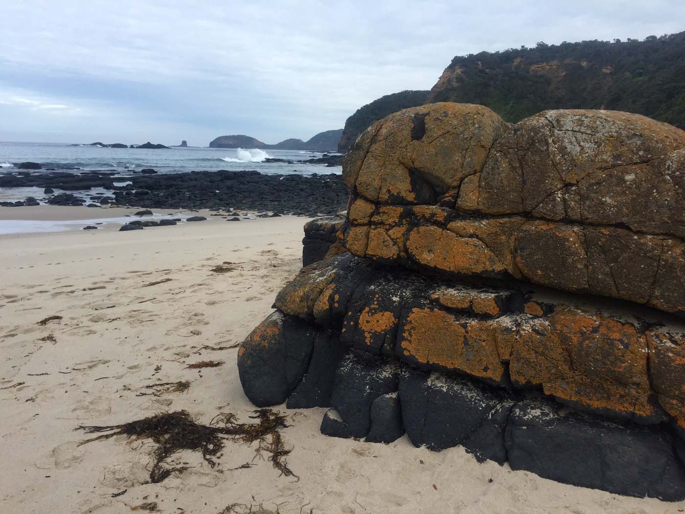 Bushrangers bay & gunnamatta hike (3)