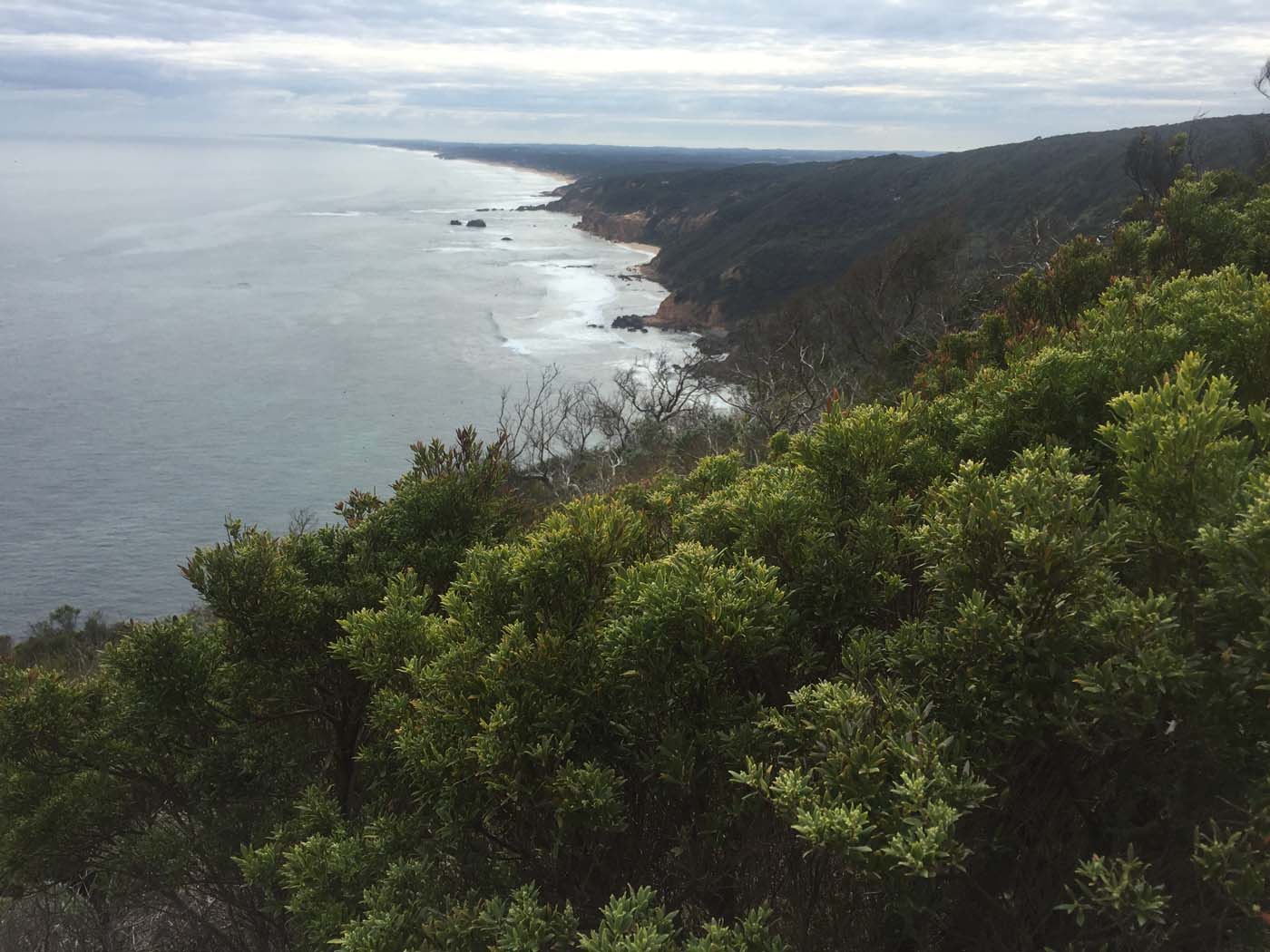 Bushrangers bay & gunnamatta hike (30)
