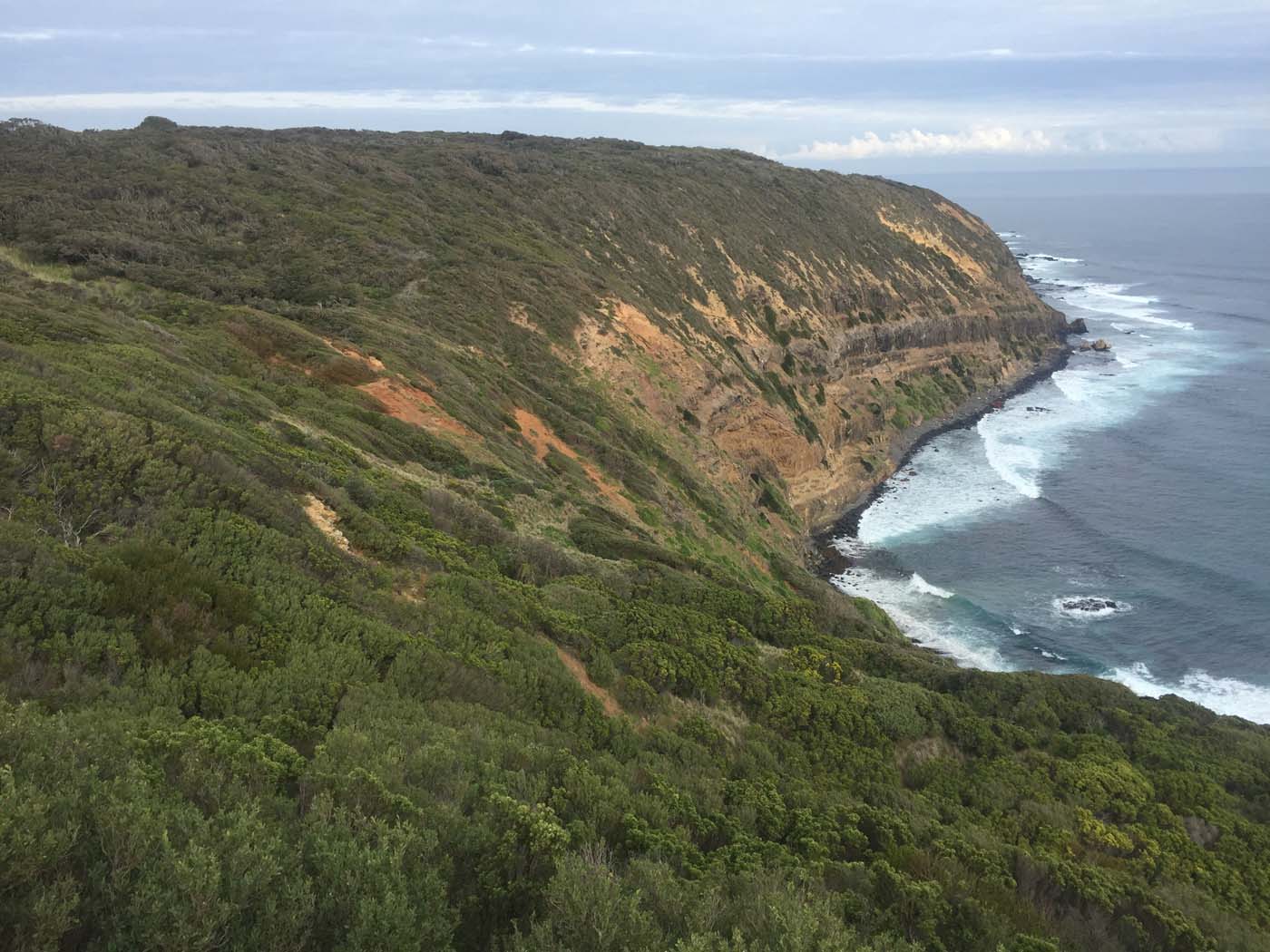 Bushrangers bay & gunnamatta hike (31)