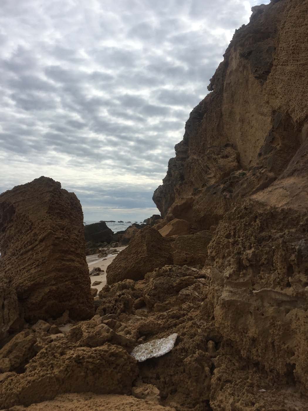 Bushrangers bay & gunnamatta hike (34)