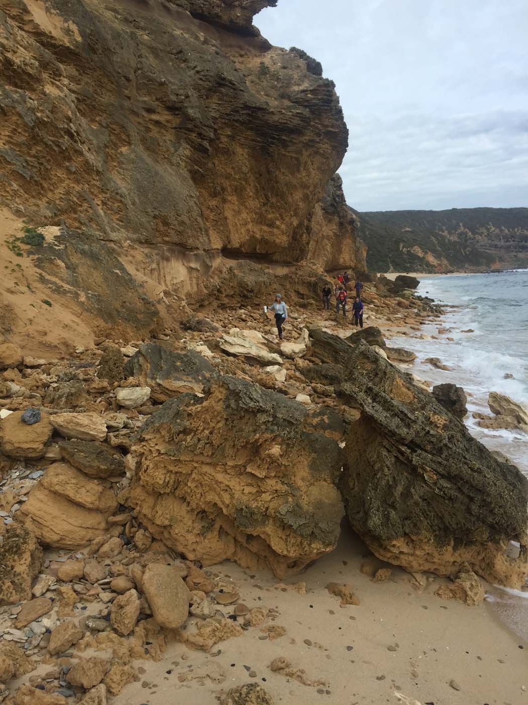 Bushrangers bay & gunnamatta hike (37)