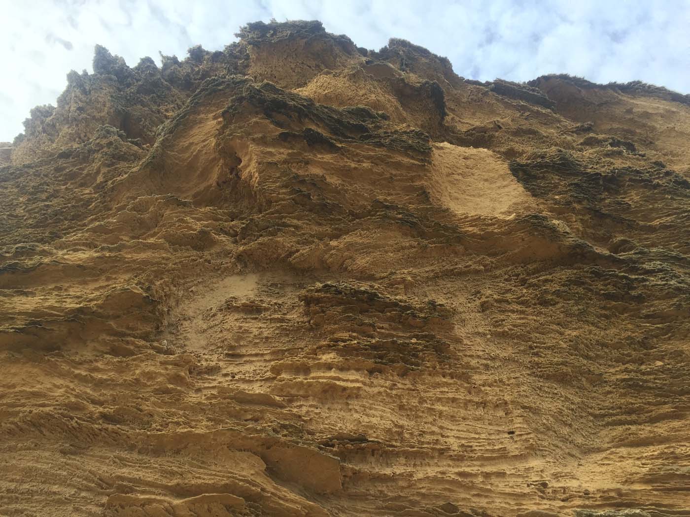 Bushrangers bay & gunnamatta hike (38)