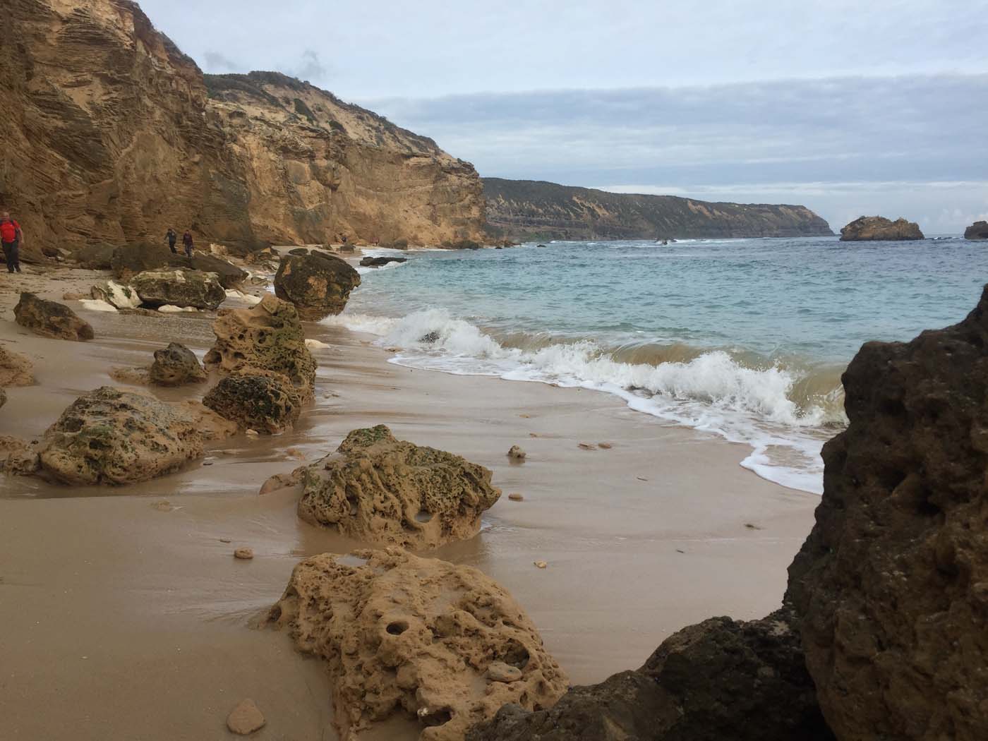 Bushrangers bay & gunnamatta hike (39)