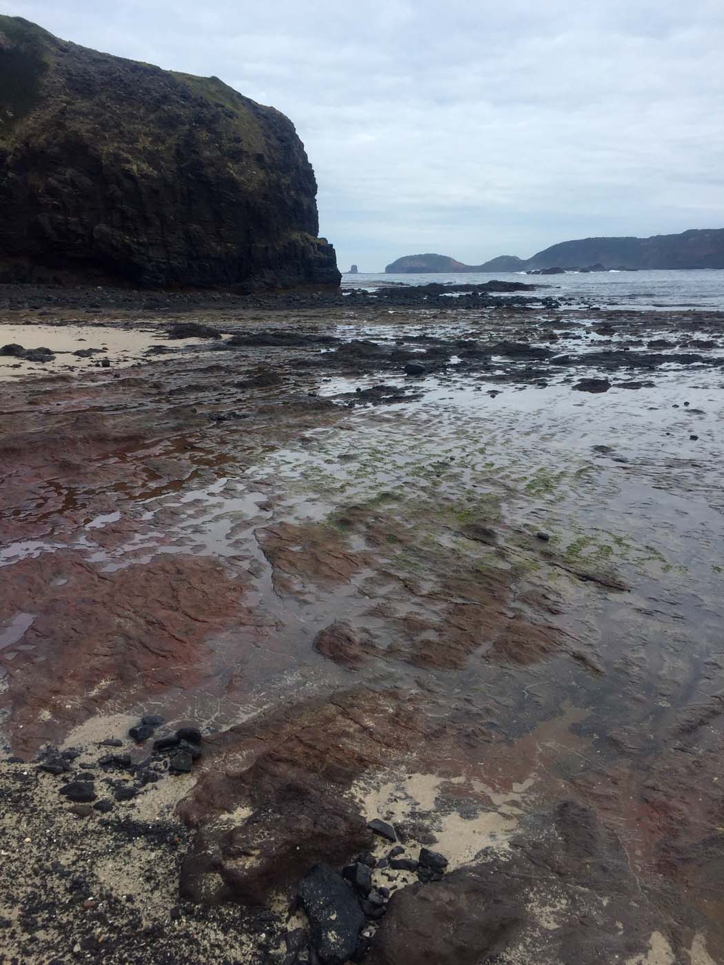 Bushrangers bay & gunnamatta hike (4)