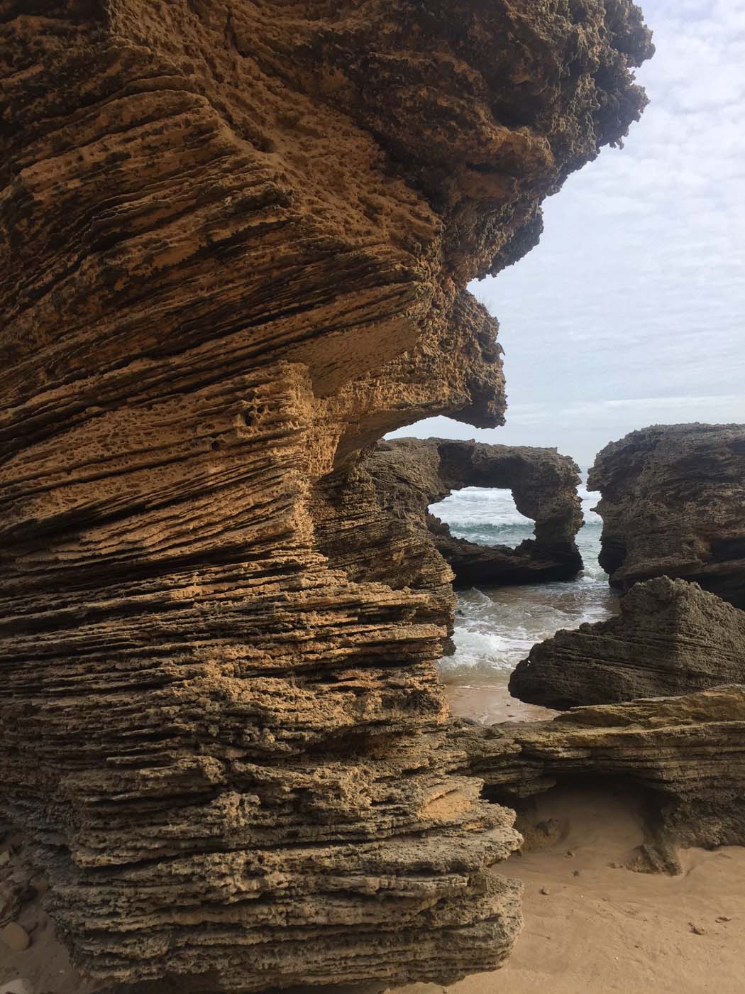 Bushrangers bay & gunnamatta hike (40)