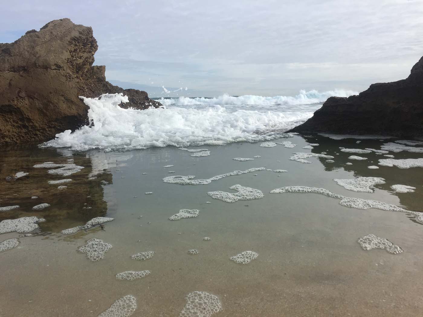Bushrangers bay & gunnamatta hike (41)