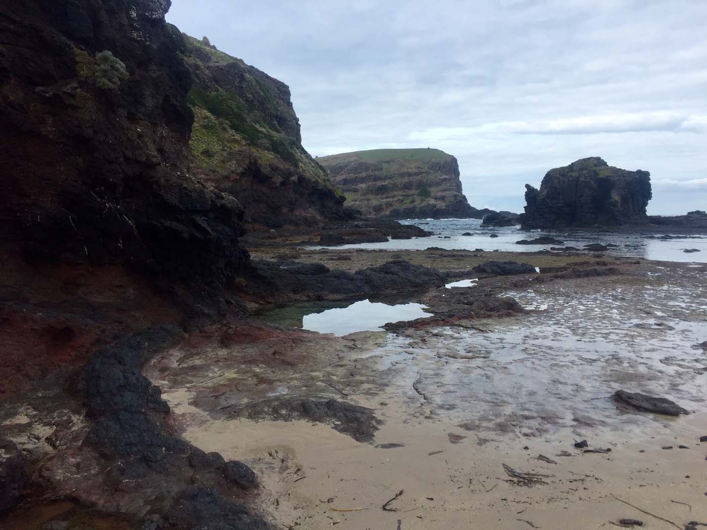 Bushrangers bay & gunnamatta hike (5)