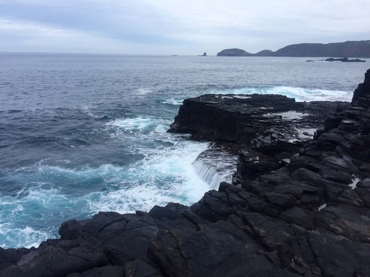 Bushrangers bay & gunnamatta hike (8)