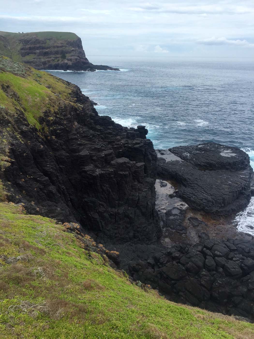 Bushrangers bay & gunnamatta hike (9)