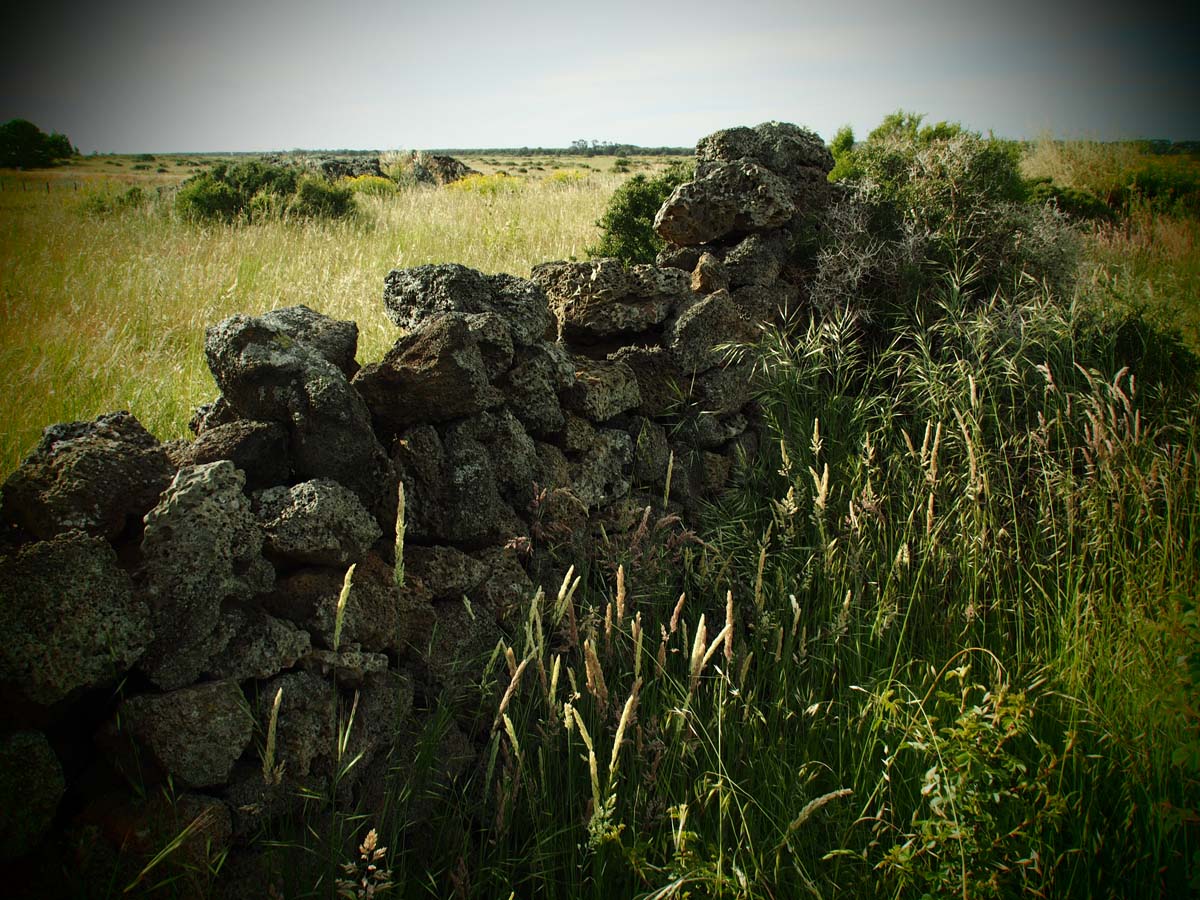 Byaduk caves walk 1