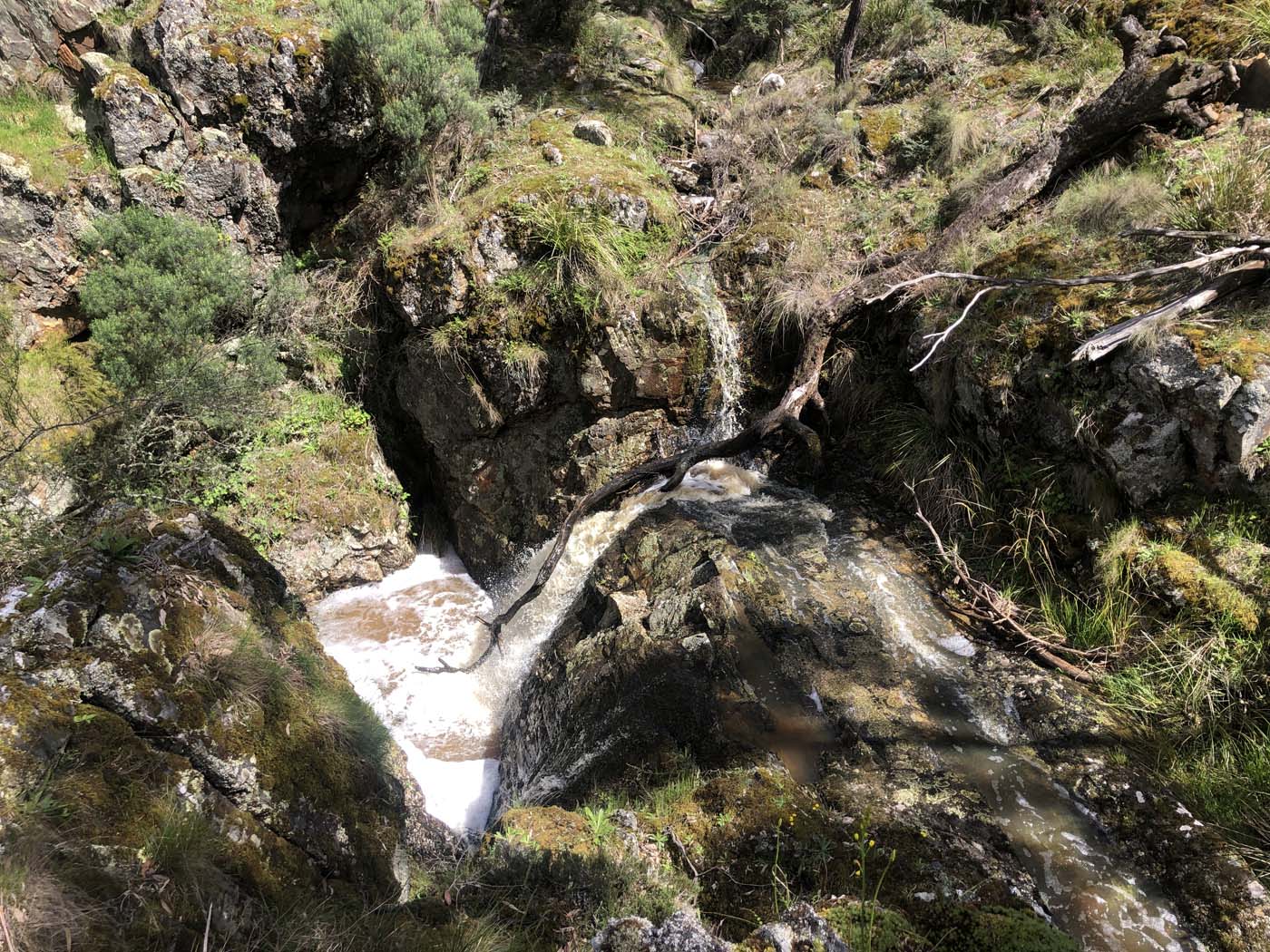 Byers back track  (16)