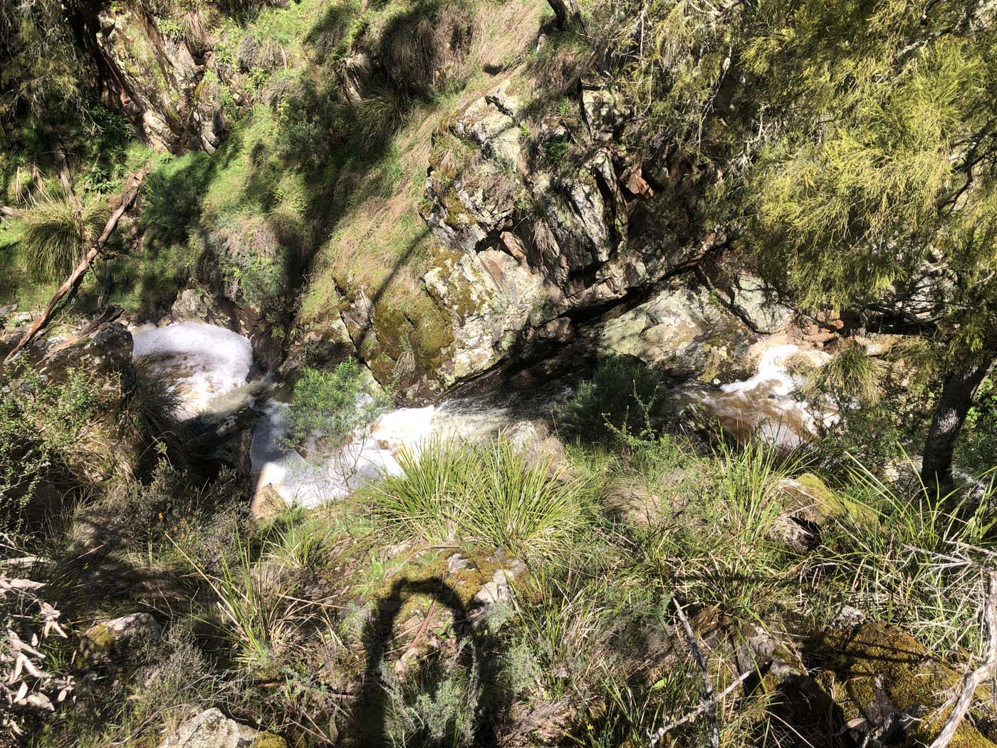 Byers back track  (17)
