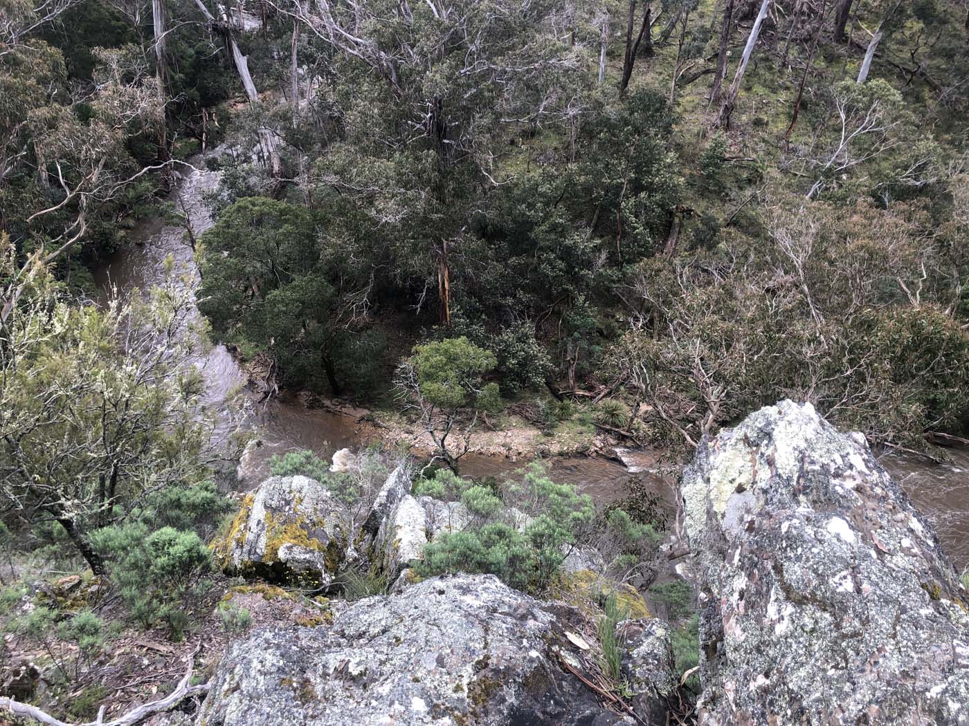 Byers back track  (19)