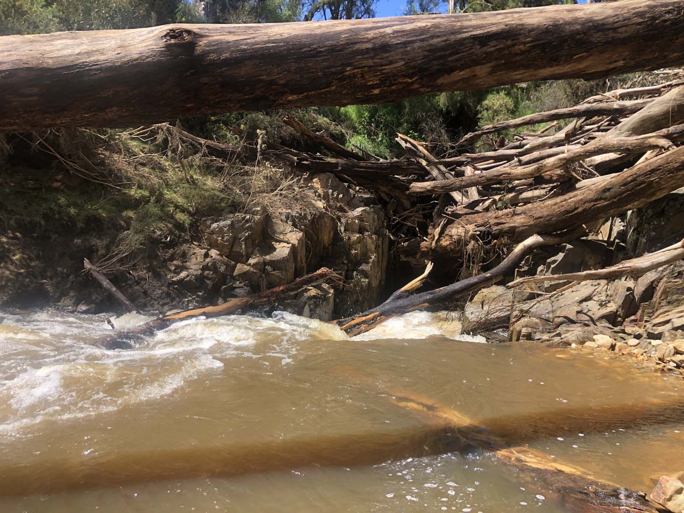 Byers back track  (2)