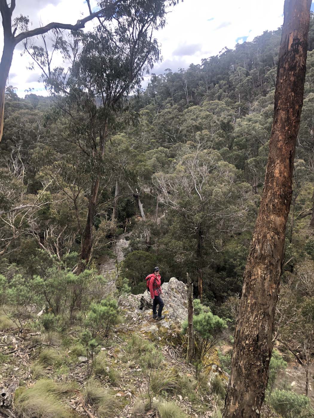 Byers back track  (20)