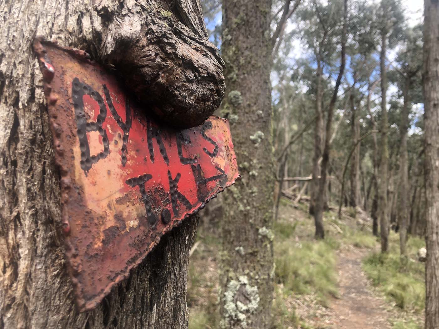 Byers back track  (26)