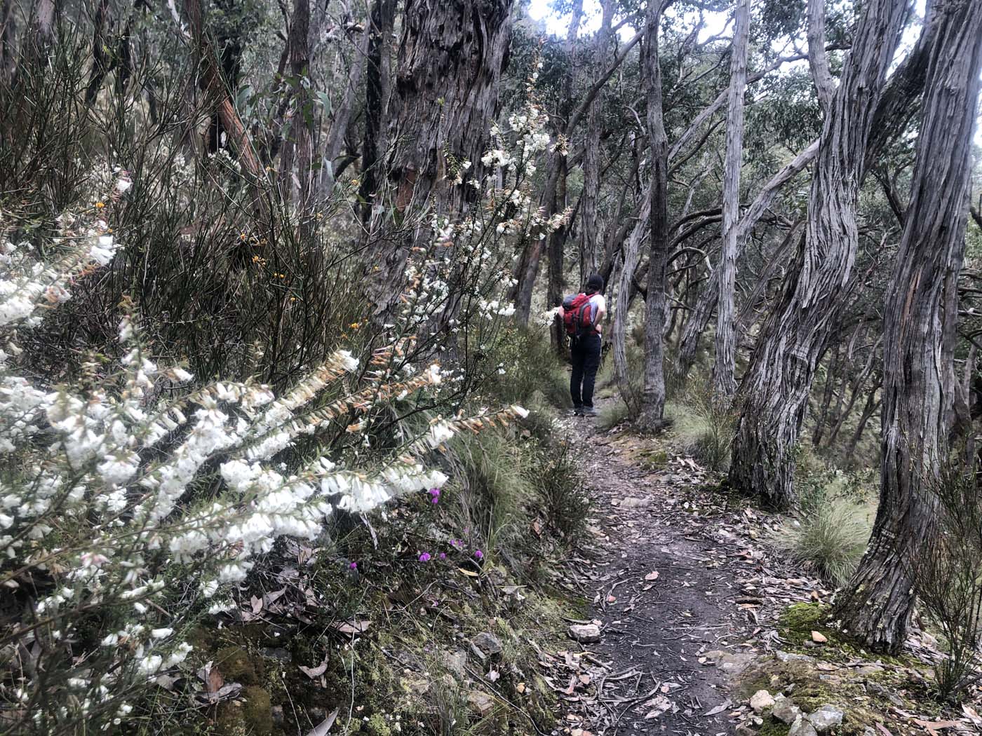 Byers back track  (28)
