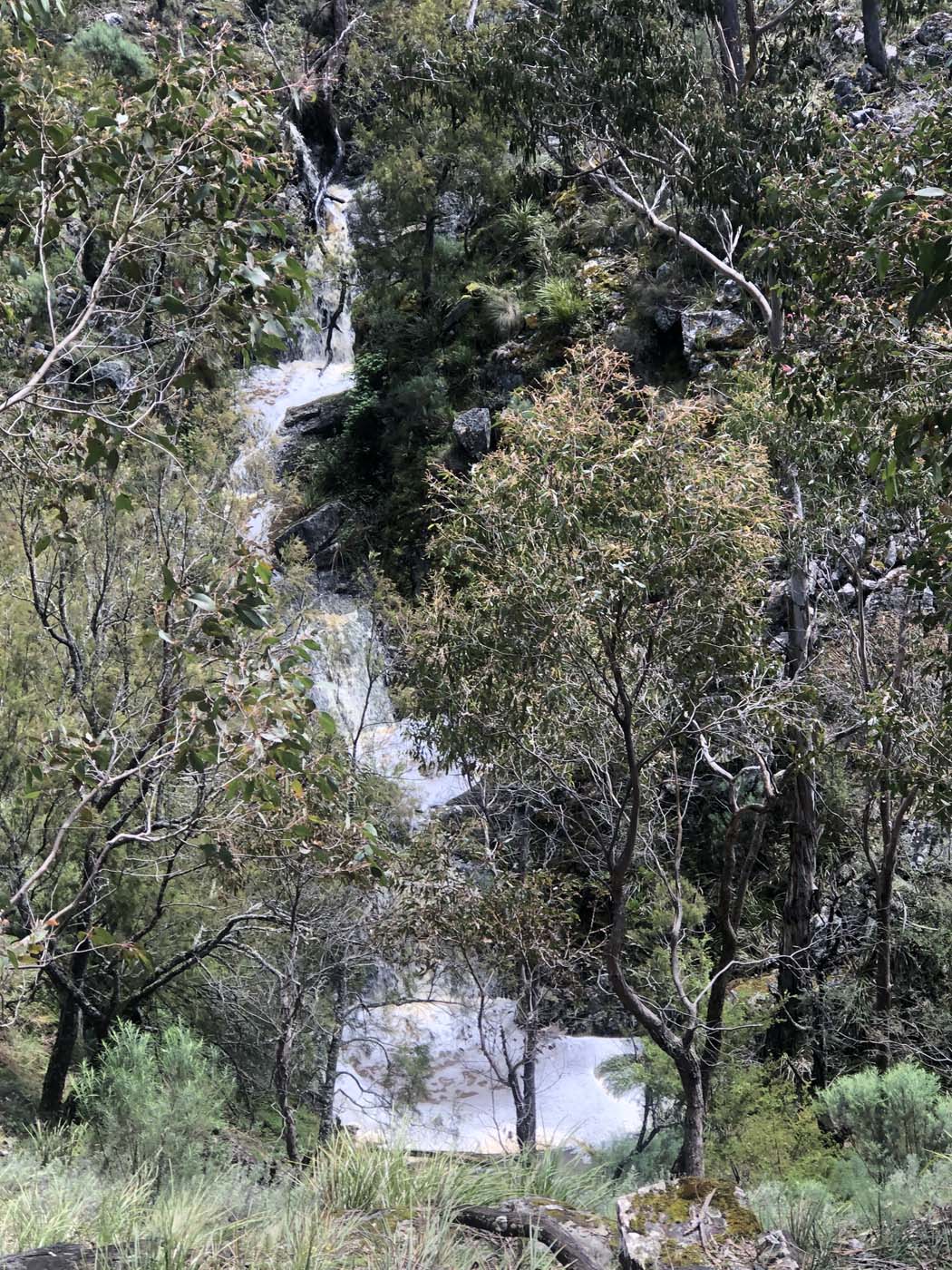 Byers back track  (9)