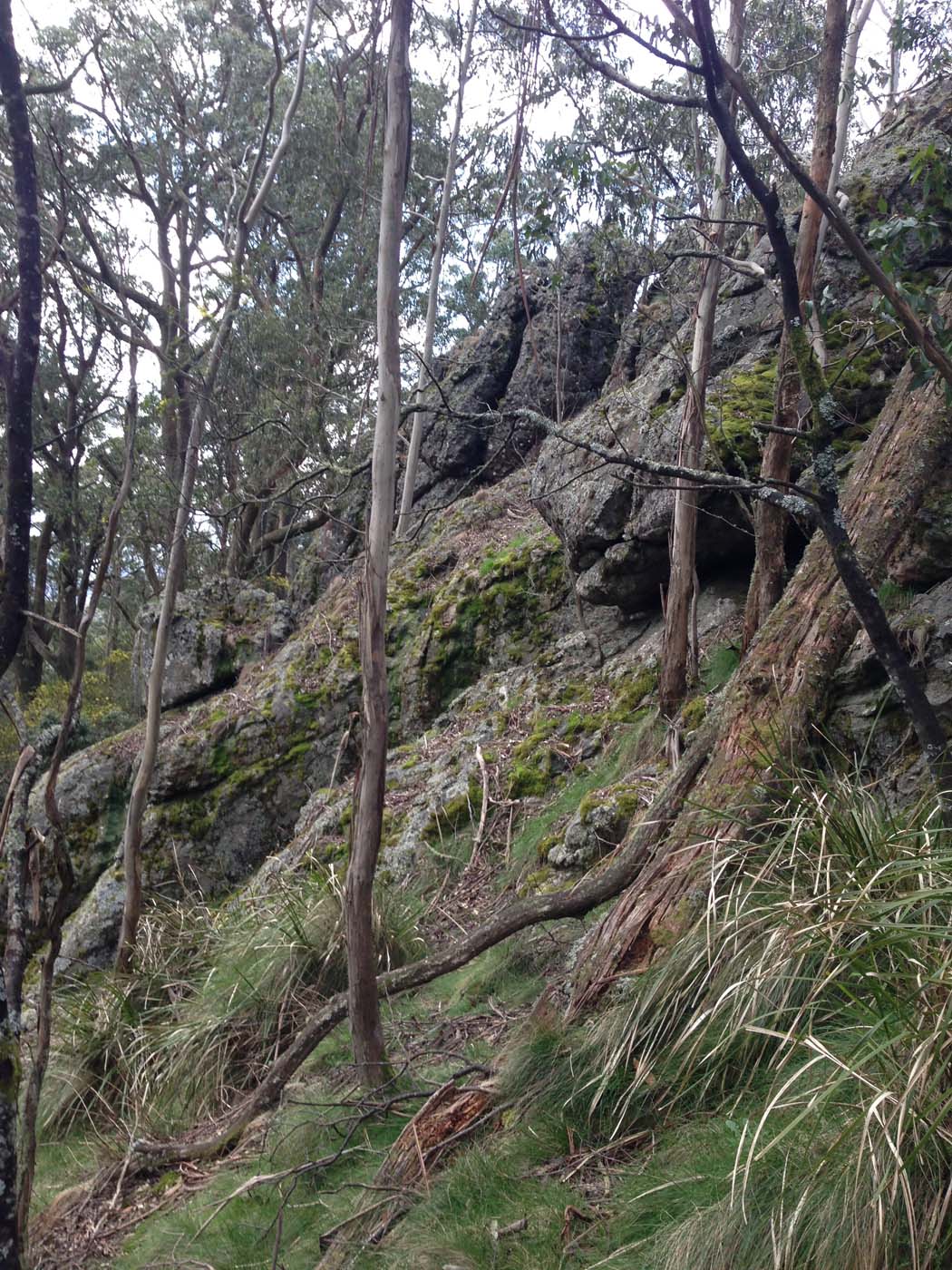 Camel's hump (3)