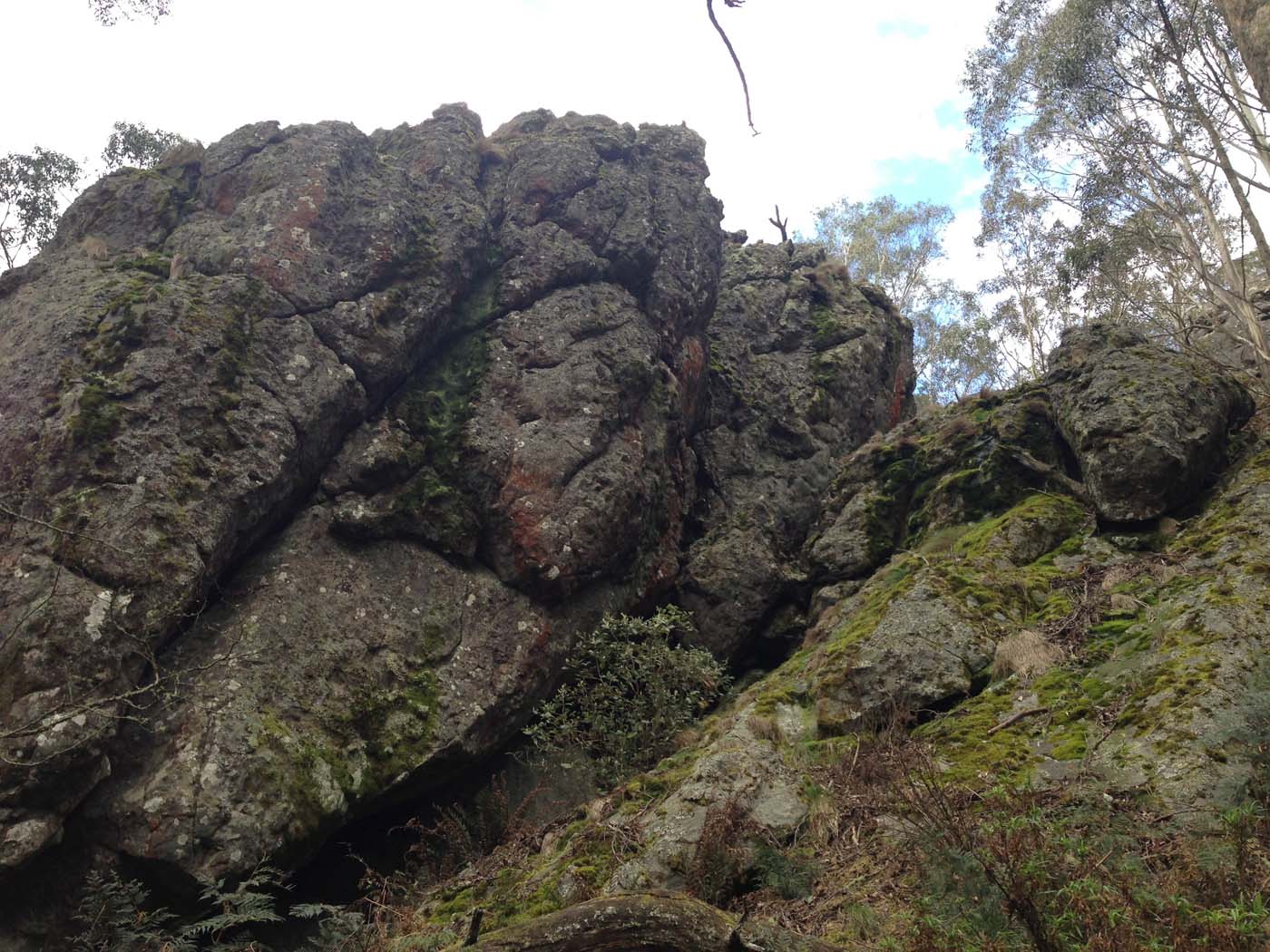 Camel's hump (5)