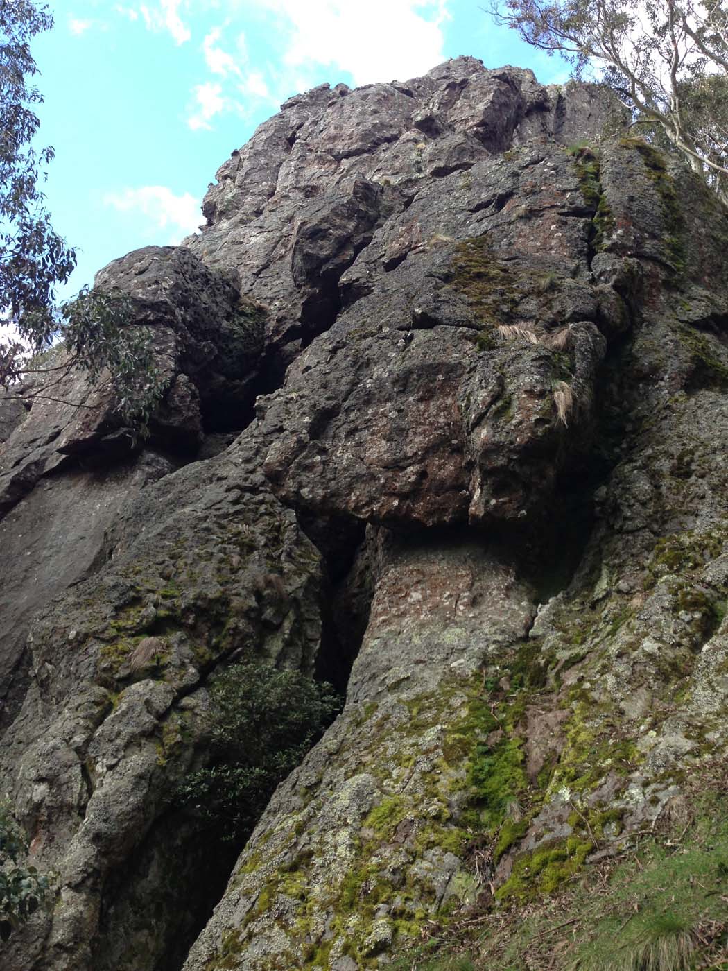 Camel's hump (6)