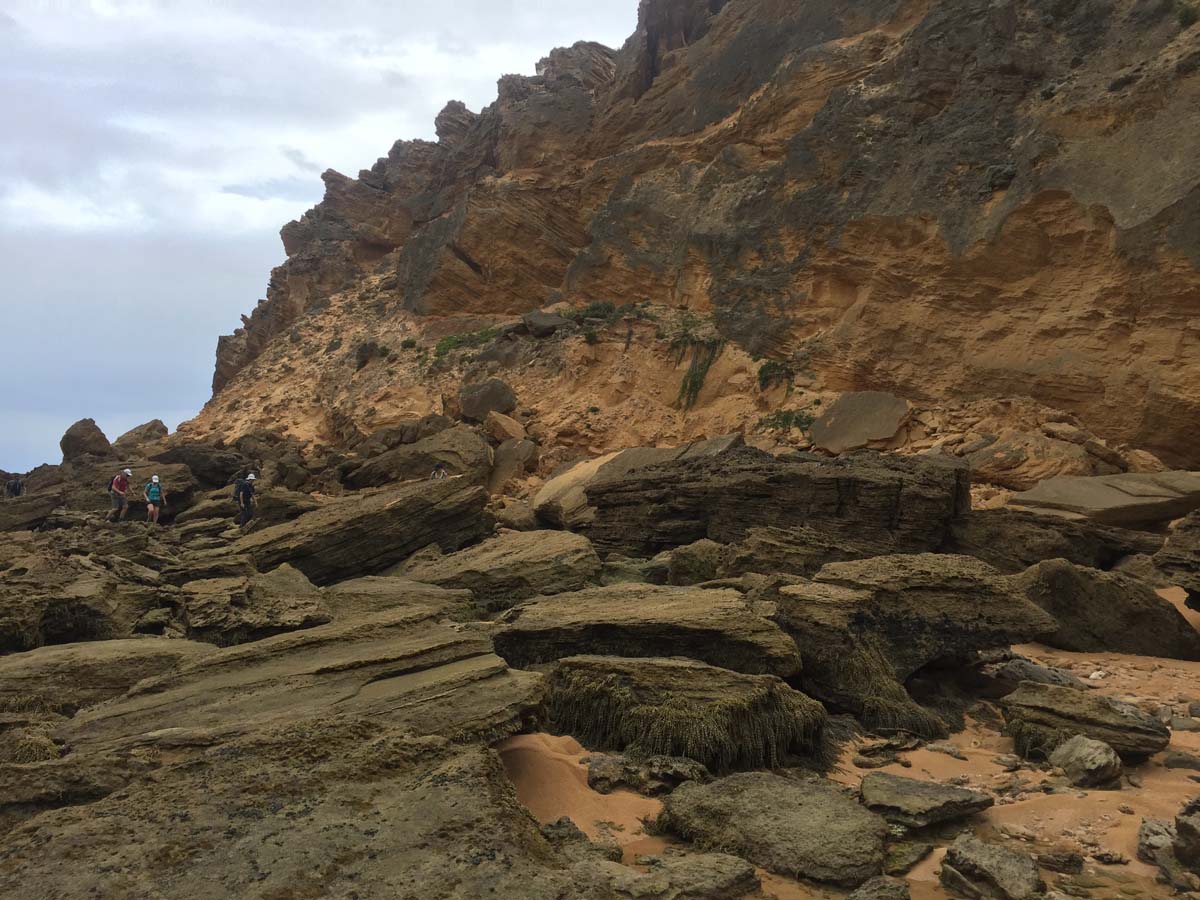 Cape liptrap coastal walk 12