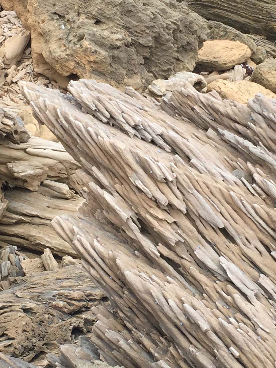 Cape liptrap coastal walk 25