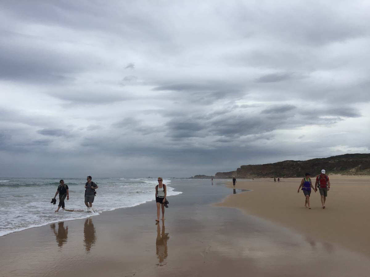 Cape liptrap coastal walk 26