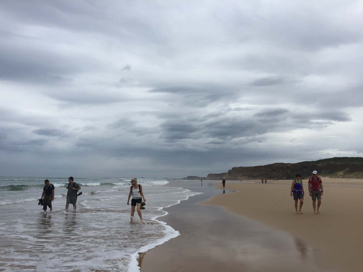 Cape liptrap coastal walk 27