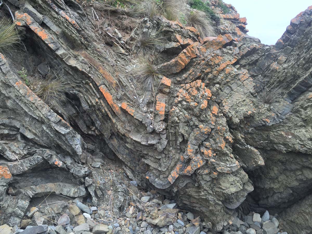Cape liptrap coastal walk 35